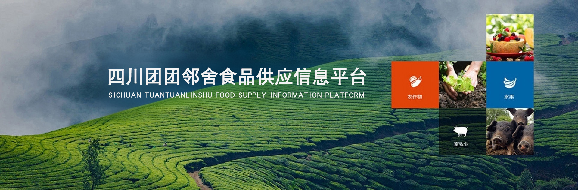 轮播图
